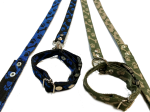 correa-con-collar-huellitas-19mm-3-400
